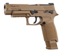PG1251-1.jpg
